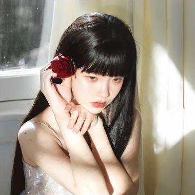 动物宝宝