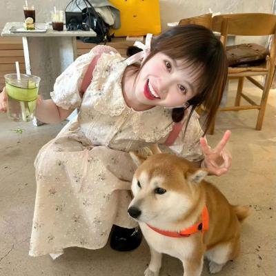我为爱做过的傻事